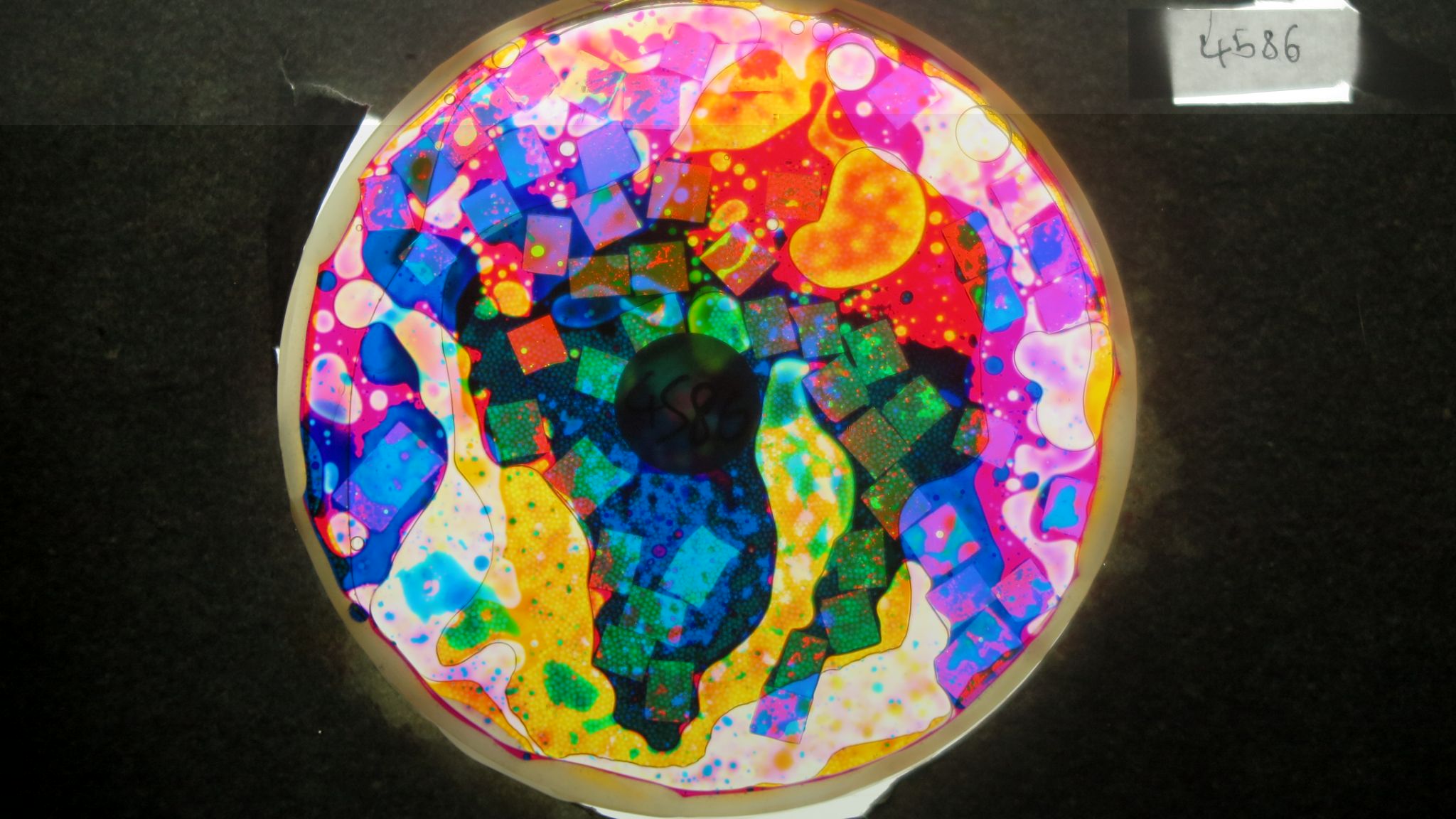 BV4586 bubble vision oil wheel